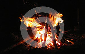 Campfire flame in the night summer forest Traveling in the wild nature of Ukraine