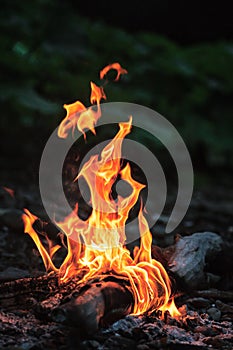 Campfire with flame tongues burning in the evening. Vertical close up view