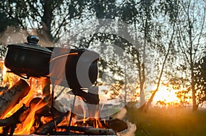 Campfire in the forest