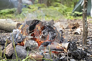 campfire in the forest near a tent, shelter, gazebo, outdoor recreation concept