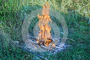 Campfire on a green grass preperation