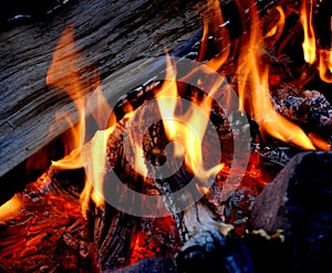 Campfire with Hot Coals photo