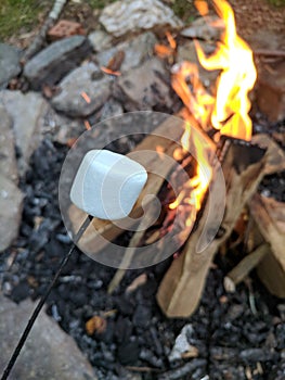 Campfire marshmallow s& x27;mores