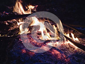 Campfire at night, burning dead trees, photo taken in the UK