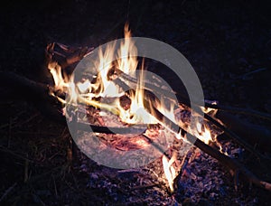 Campfire at night, burning dead trees, photo taken in the UK