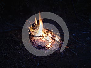 Campfire at night, burning dead trees, photo taken in the UK