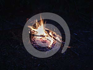 Campfire at night, burning dead trees, photo taken in the UK