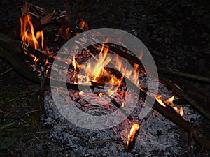 Campfire at night, burning dead trees, photo taken in the UK