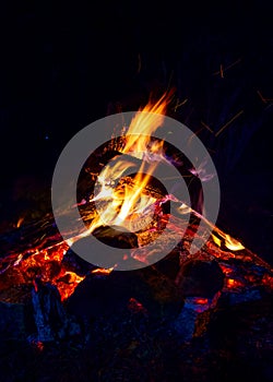 Campfire at night. Flames and embers of a bonfire at night.