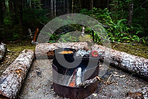 Campfire in Pacific Northwest