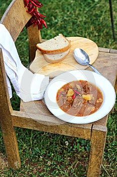 Campfire Stew Outdoor Cooking