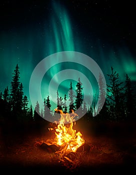 Campfire In The Wilderness With The Northern Lights