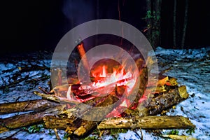 Campfire in the winter forest at a halt