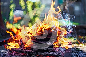 Campfire of wood pile with flame tongues burning at summer sunset at countryside. Natural fire background