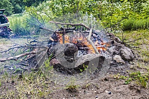 Campfire woods close-up