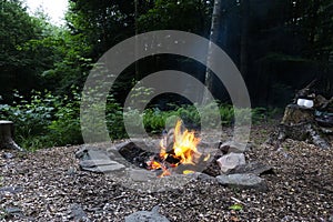 Campfire in the woods. Close up of red flames coming from burning logs at sunset in forest