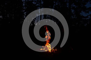 Campfire in the woods in the dark. Outdoor recreation in field conditions. Test for survival in the wild