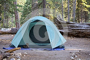 Campground green tent among pine trees