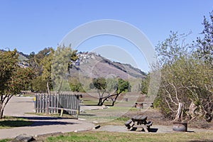 Campground in Pismo Beach, CA