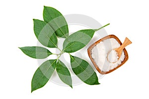 Camphor branch green leaves and crystal isolated on white background.top view,flat lay photo