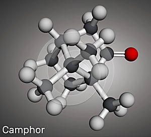 Camphor molecule. It is terpenoid and a cyclic ketone. Molecular model. 3D rendering photo