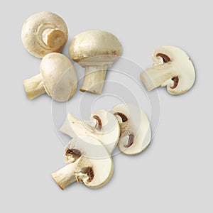 Campignon mushroom slices