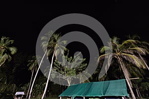 Campin tend with high palms and faint stars scene at tayrona park photo