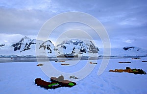 Camping in Antarctica