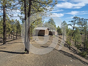 Camping area with huts at campsite Campamento Madre del Agua in Pine tree forest near town Vilaflor. photo