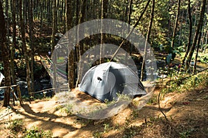 Camping area in the middle of forest