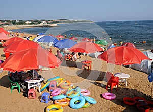 Camping on the beach