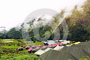 Camping in the beautiful valley of flowers in Nanda Devi biosphere national park in Uttarakhand,