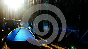 Camping and blue tent in pine forest by lake with beautiful sunshine in dawn