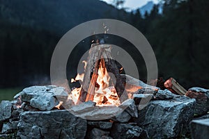 Camping bonfire with yellow and red flames in summer, forest. Copy space