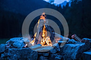 Camping bonfire with yellow and red flames in summer, forest. Copy space