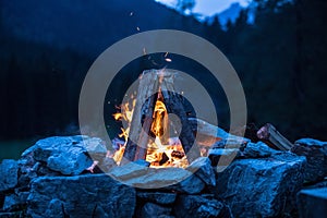 Camping bonfire with yellow and red flames in summer, forest. Copy space