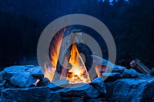 Camping bonfire with yellow and red flames in summer, forest. Copy space