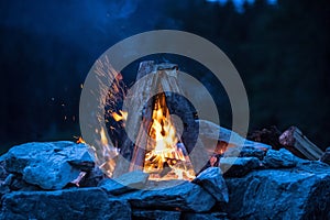 Camping bonfire with yellow and red flames in summer, forest. Copy space