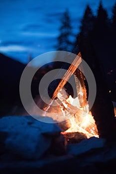 Camping bonfire with yellow and red flames in summer, forest. Copy space