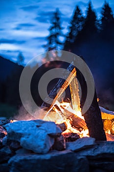 Camping bonfire with yellow and red flames in summer, forest. Copy space