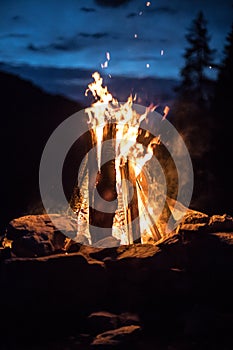 Camping bonfire with yellow and red flames in summer, forest. Copy space