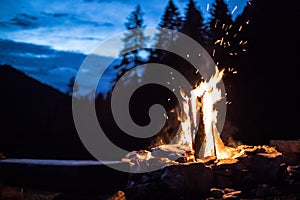 Camping bonfire with yellow and red flames in summer, forest. Copy space