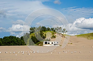 Camping at the dunes