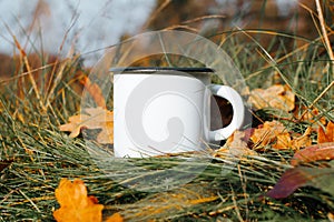 Camping enameled white mug mock-up standing on green grass with fallen autumn leaves, outdoors. Metal blank camping cup