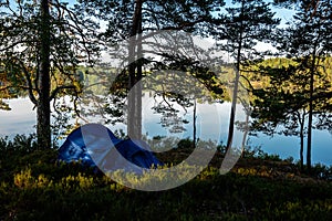 Camping in forest