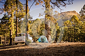 Camping in a forest on a mountain. Wild camping. Adventure roadtrip. Sunrise in the mountains. El Teide national park on Tenerife