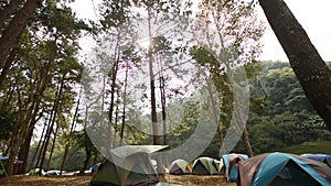 Camping in forest nature,Camping and tent under the pine forest in at Pang Ung pine forest park, Pang Ung Mae Hong Son, Thailand