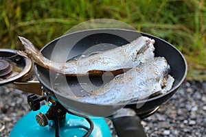Camping gas stove in Norway