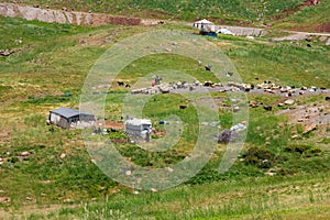Shepherds camping ground in the mountains photo
