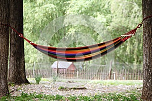 Camping hammocks within the campsite photo